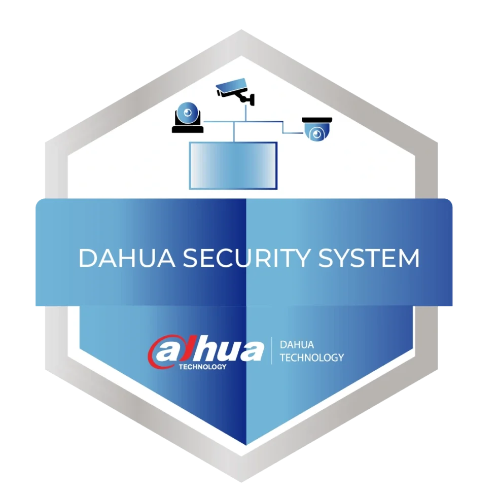DSS Dahua Security System